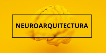 Utiliza la neuroarquitectura para crear la oficina de tus sueños en tu propio hogar.