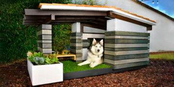 – Hijo, tú que eres Arquitecto, hazle una casita al firulais, velo, pobrecito.