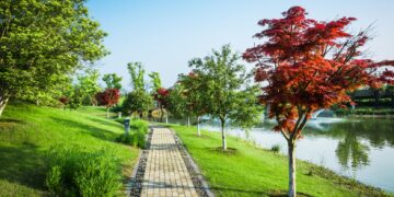 Arquitectura y Paisajismo: Creando Espacios Armoniosos