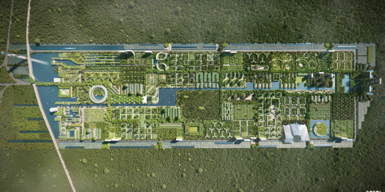 Quintana Roo: Sede de la primera ciudad forestal y ecológica de México