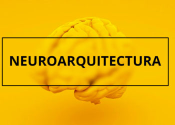 Utiliza la neuroarquitectura para crear la oficina de tus sueños en tu propio hogar.