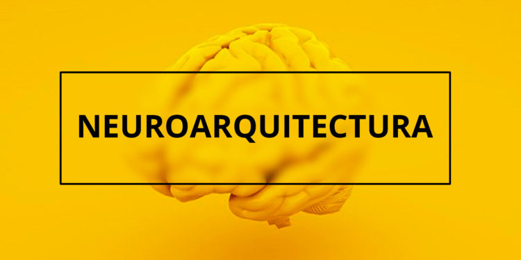 Utiliza la neuroarquitectura para crear la oficina de tus sueños en tu propio hogar.