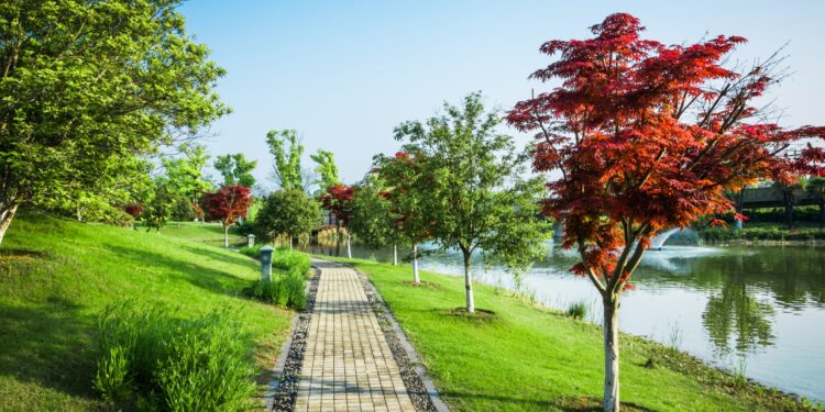 Arquitectura y Paisajismo: Creando Espacios Armoniosos