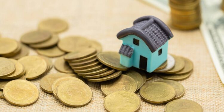 Arquitectura funcional en viviendas económicas: sí se puede