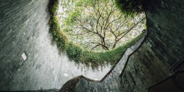 El auge del Slow Architecture: Calidad sobre rapidez constructiva